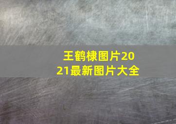 王鹤棣图片2021最新图片大全