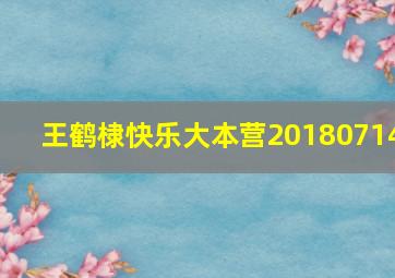 王鹤棣快乐大本营20180714