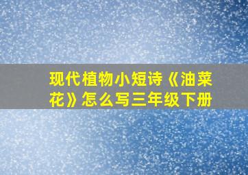 现代植物小短诗《油菜花》怎么写三年级下册