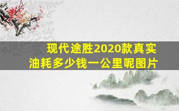 现代途胜2020款真实油耗多少钱一公里呢图片