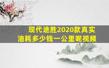 现代途胜2020款真实油耗多少钱一公里呢视频