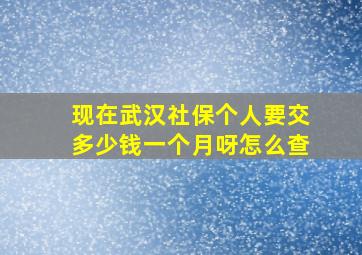 现在武汉社保个人要交多少钱一个月呀怎么查