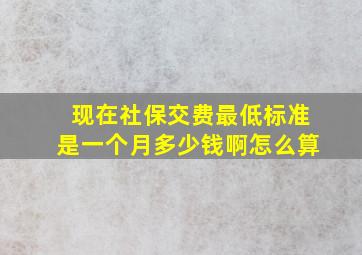 现在社保交费最低标准是一个月多少钱啊怎么算