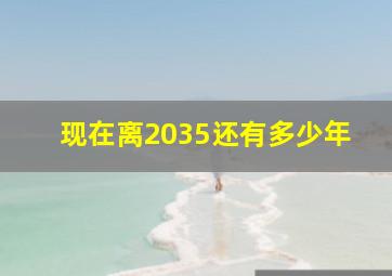 现在离2035还有多少年