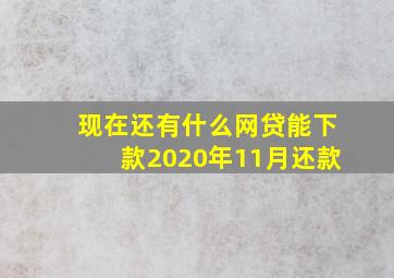 现在还有什么网贷能下款2020年11月还款