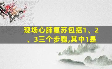 现场心肺复苏包括1、2、3三个步骤,其中1是