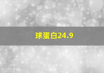 球蛋白24.9