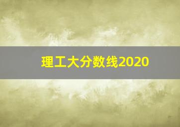 理工大分数线2020