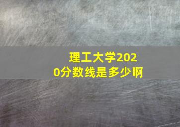 理工大学2020分数线是多少啊