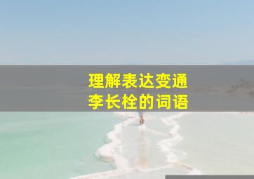 理解表达变通李长栓的词语