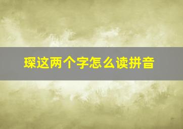 琛这两个字怎么读拼音