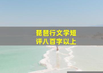 琵琶行文学短评八百字以上