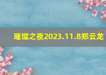 璀璨之夜2023.11.8郑云龙