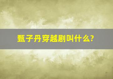 甄子丹穿越剧叫什么?