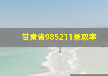 甘肃省985211录取率