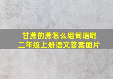 甘蔗的蔗怎么组词语呢二年级上册语文答案图片