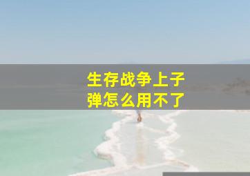 生存战争上子弹怎么用不了