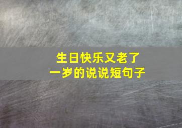 生日快乐又老了一岁的说说短句子