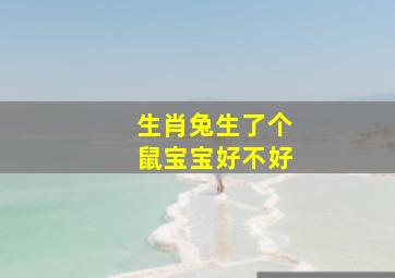 生肖兔生了个鼠宝宝好不好