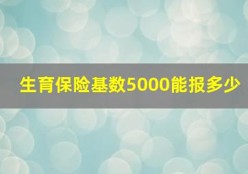 生育保险基数5000能报多少