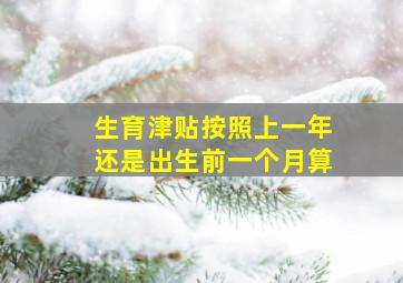 生育津贴按照上一年还是出生前一个月算