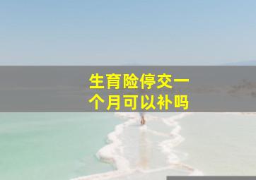 生育险停交一个月可以补吗