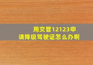 用交管12123申请降级驾驶证怎么办啊