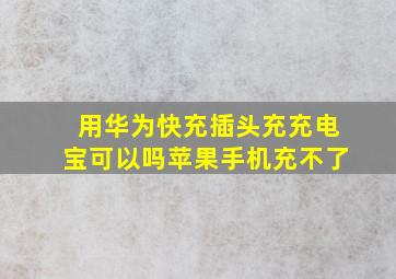 用华为快充插头充充电宝可以吗苹果手机充不了