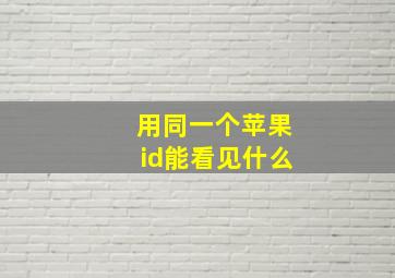 用同一个苹果id能看见什么