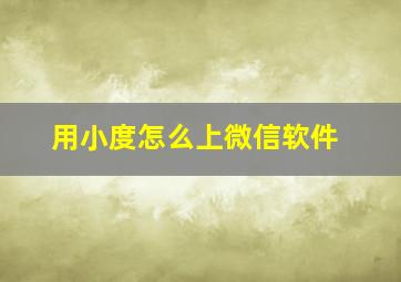 用小度怎么上微信软件