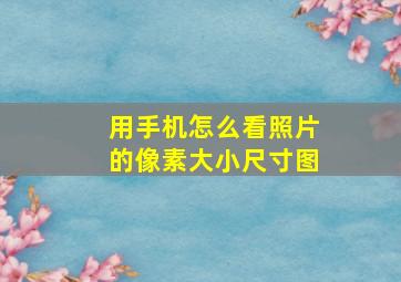 用手机怎么看照片的像素大小尺寸图