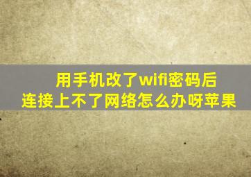 用手机改了wifi密码后连接上不了网络怎么办呀苹果