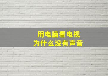 用电脑看电视为什么没有声音