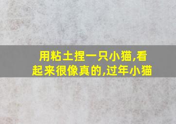 用粘土捏一只小猫,看起来很像真的,过年小猫