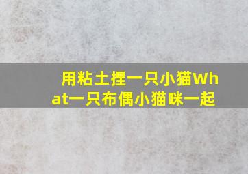 用粘土捏一只小猫What一只布偶小猫咪一起