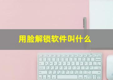 用脸解锁软件叫什么