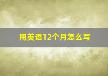 用英语12个月怎么写