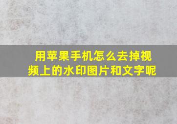 用苹果手机怎么去掉视频上的水印图片和文字呢