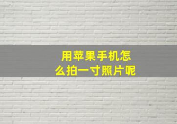 用苹果手机怎么拍一寸照片呢