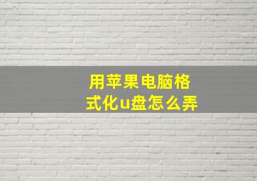 用苹果电脑格式化u盘怎么弄