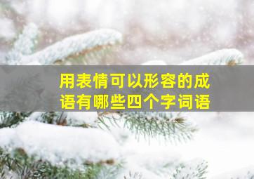 用表情可以形容的成语有哪些四个字词语