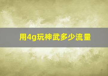 用4g玩神武多少流量