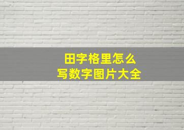 田字格里怎么写数字图片大全