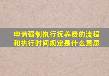 申请强制执行抚养费的流程和执行时间规定是什么意思