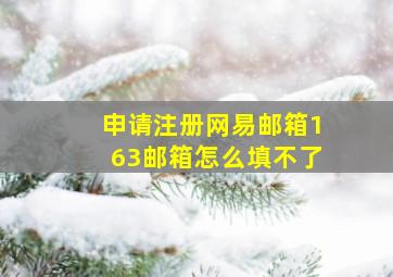 申请注册网易邮箱163邮箱怎么填不了