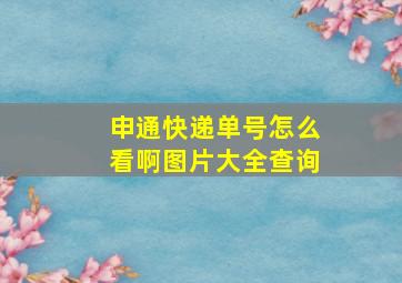 申通快递单号怎么看啊图片大全查询