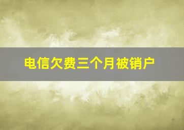 电信欠费三个月被销户