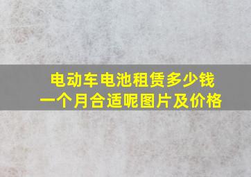 电动车电池租赁多少钱一个月合适呢图片及价格