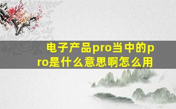 电子产品pro当中的pro是什么意思啊怎么用