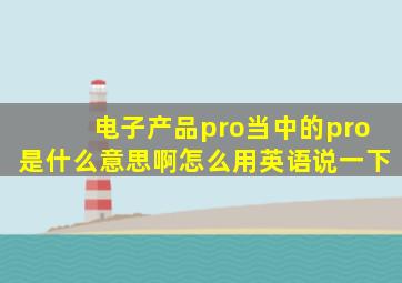 电子产品pro当中的pro是什么意思啊怎么用英语说一下